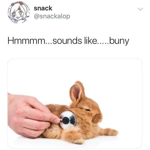 Hmmm. sounds like. buny