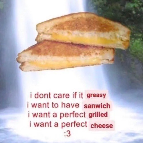 i dont care if it greasy i want to have sanwich i want a perfect grilled i want a perfect cheese :3