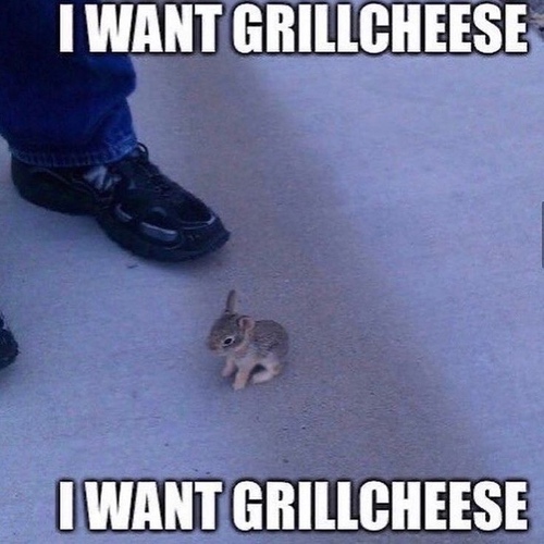 I want grillcheese I want grillcheese