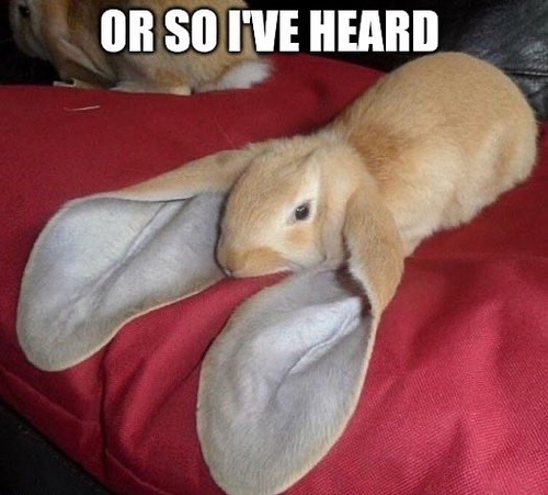 (Bunny) or so I've heard