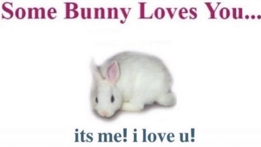 (Bunny) Some Bunny Loves You... its me! i love u!