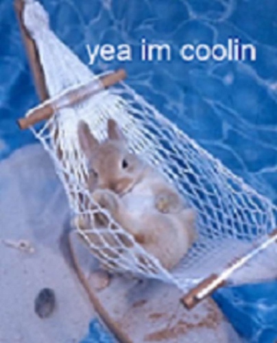 (Bunny) yeah im coolin