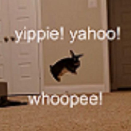 yippie! yahoo! whoopee!