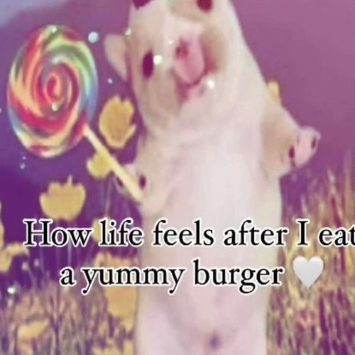 How life feels after I eat a yummy burger