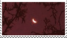 Red Moon