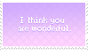 I Think You Are Wonderful