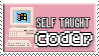 Self-Taught Coder