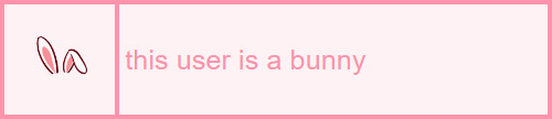 This user is a bunny