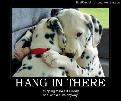 A motivational poster format meme of two dalmations hugging, captioned "HANG IN THERE - It's going to be OK Buddy. She was a bitch anyway."