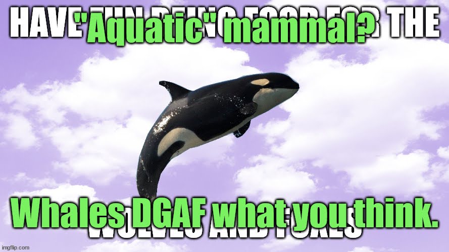 An image macro of an orca leaping into the air. Captioned in green text is ""Aquatic" mammal? Whales DGAF what you think." For some absurd reason beneath that caption is another caption in white that reads "HAVE FUN BEING FOOD FOR THE WOLVES AND FOXES".