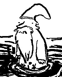 A wizard with a bushy bear dressed in a robe and a pointy hat, standing in the middle of a swamp.