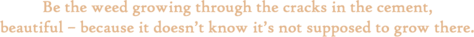 be the weed growing through the cracks in the cement, beautiful - because it doesn't know its not supposed to grow there.