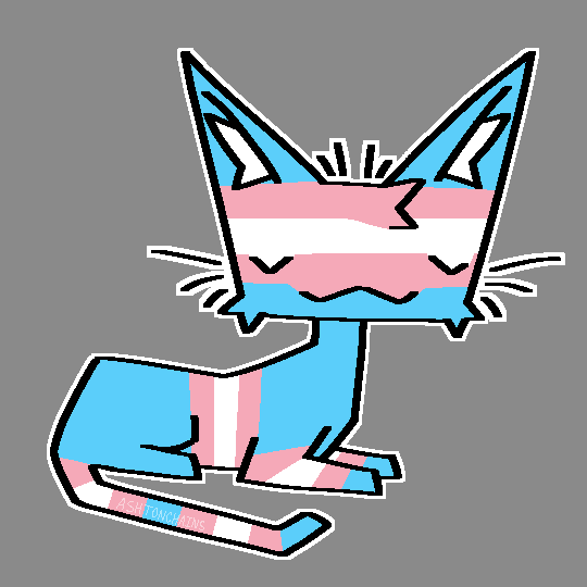 kity