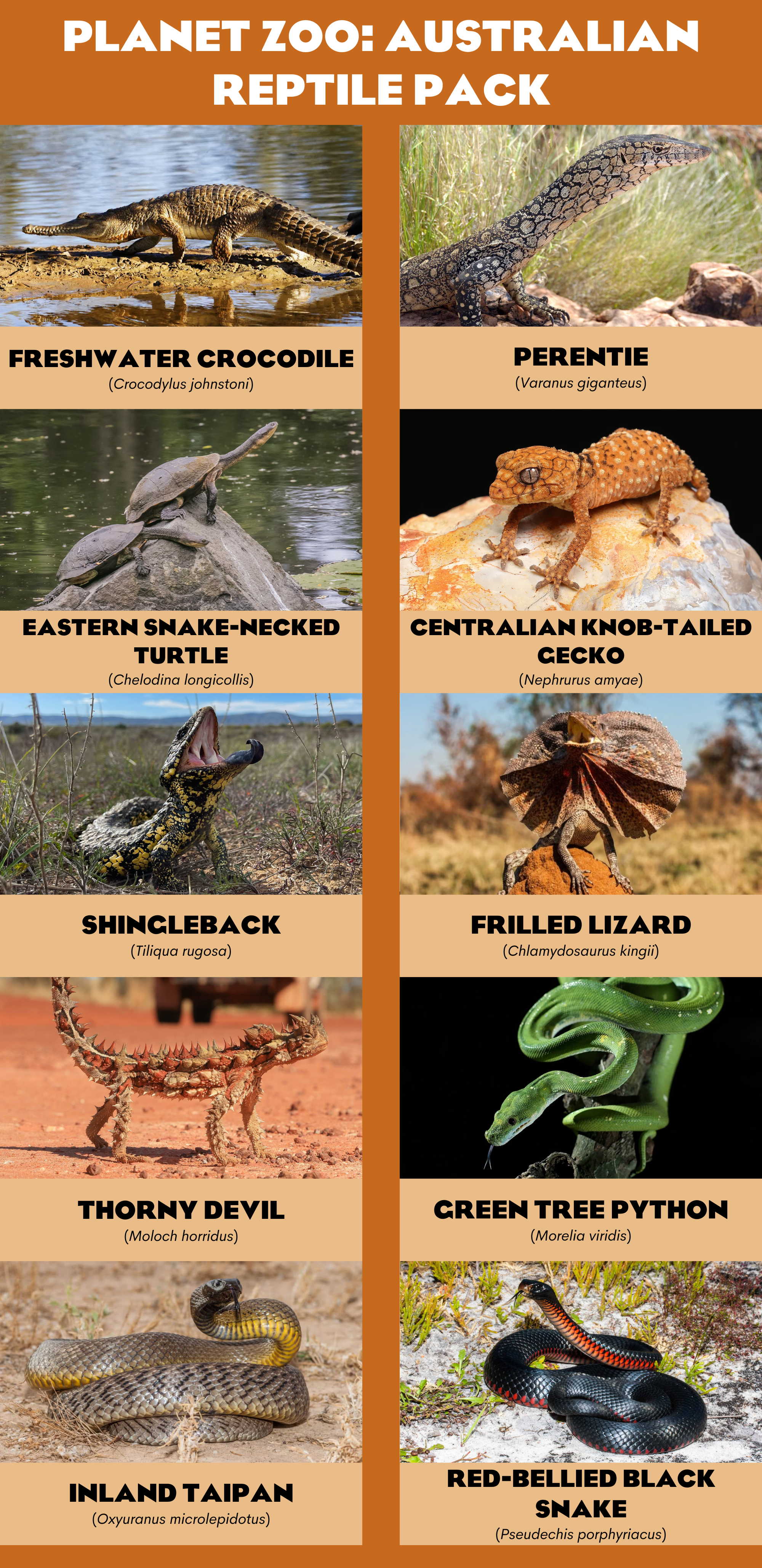 PLANET%20ZOO%20AUSTRALIAN%20REPTILE%20PACK.png