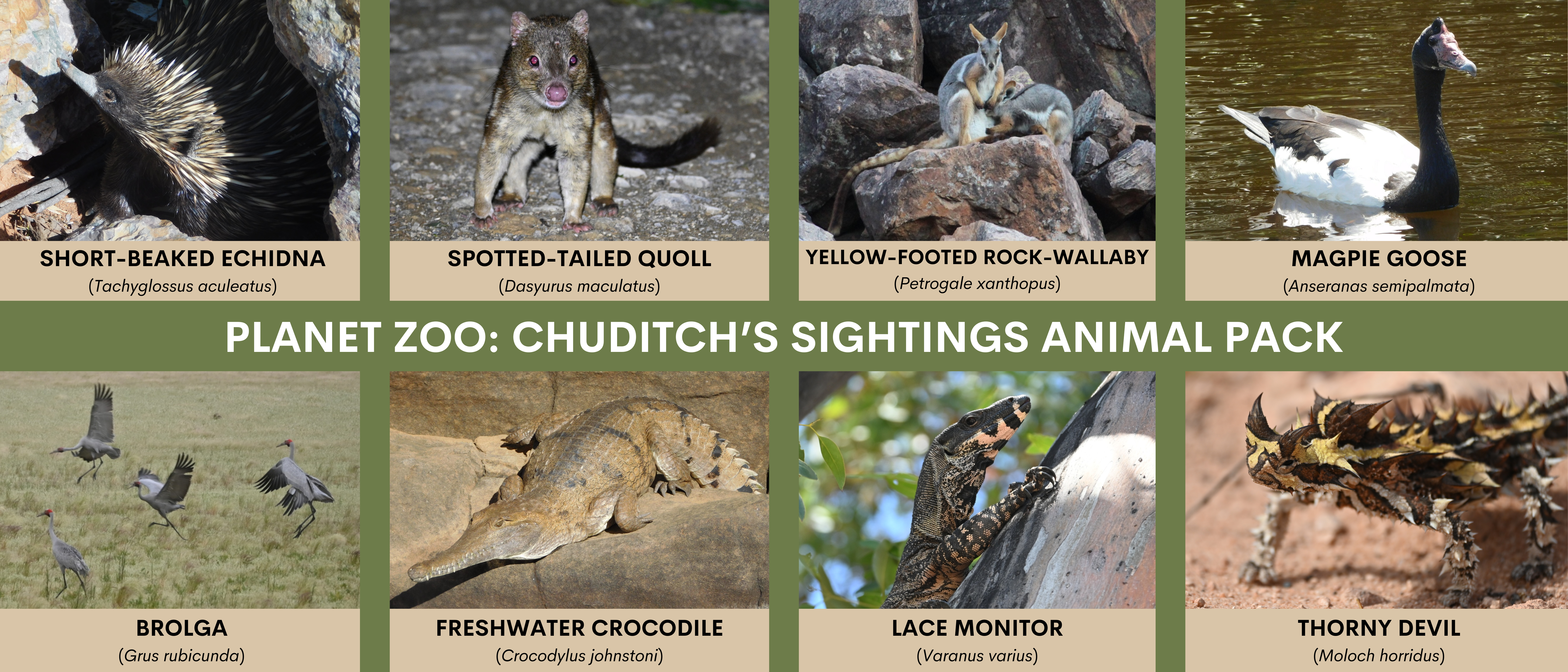 PLANET%20ZOO%20CHUDITCH%27S%20SIGHTINGS%20ANIMAL%20PACK.png