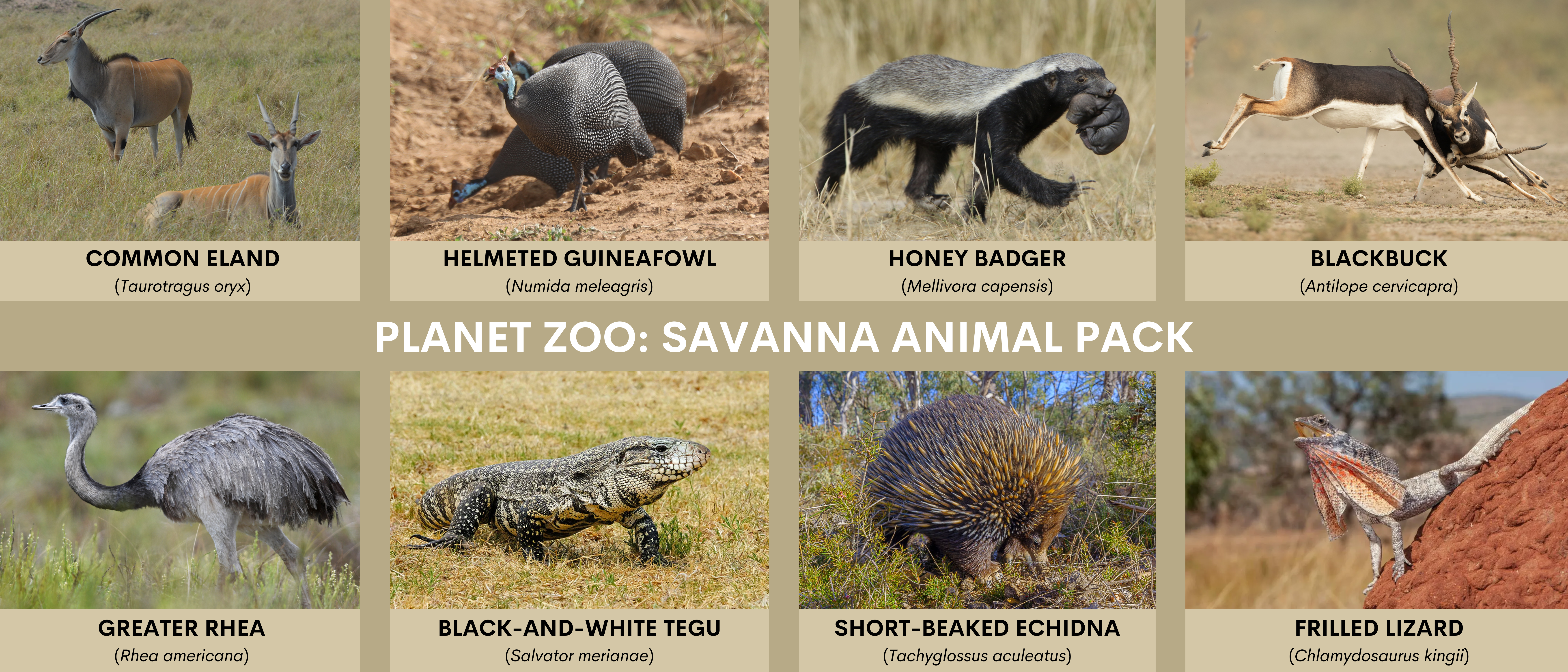 PLANET%20ZOO%20SAVANNA%20ANIMAL%20PACK.png