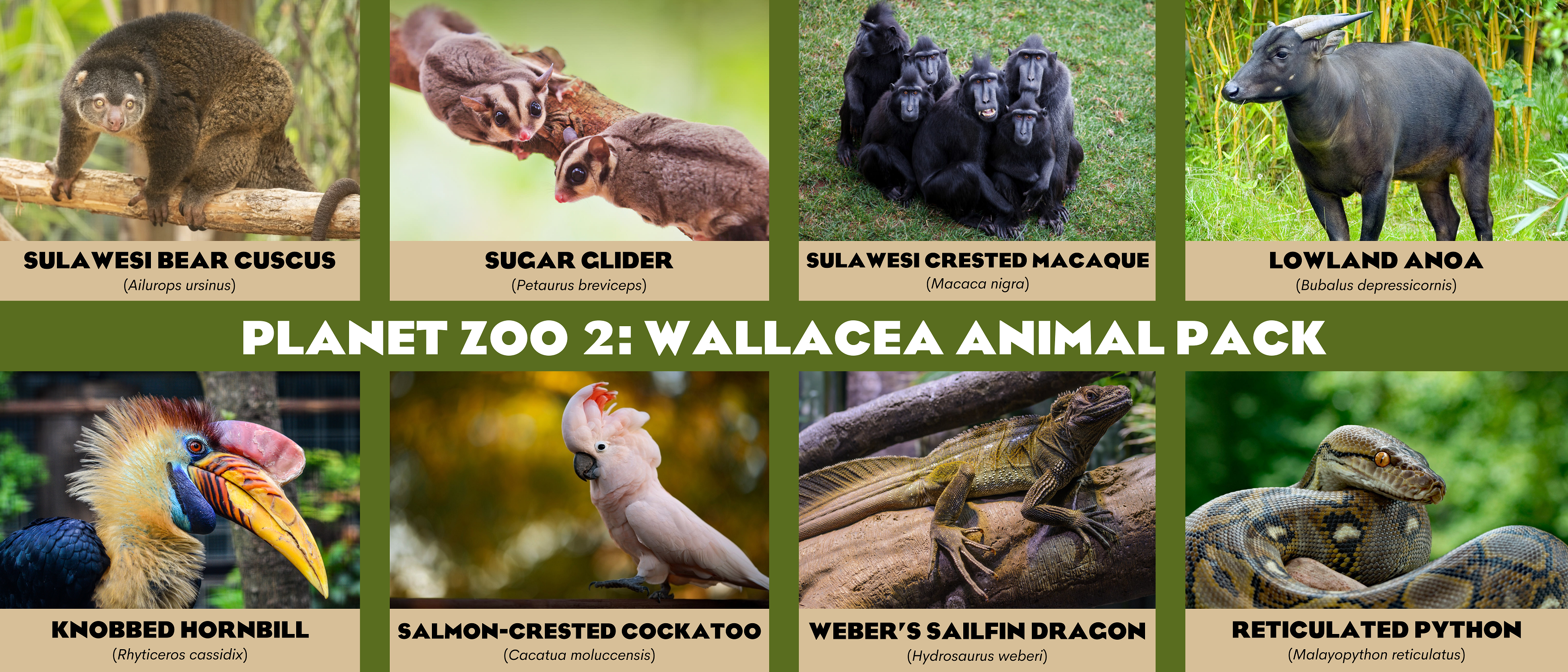 Planet%20Zoo%202%20Wallacea%20Animal%20Pack.png