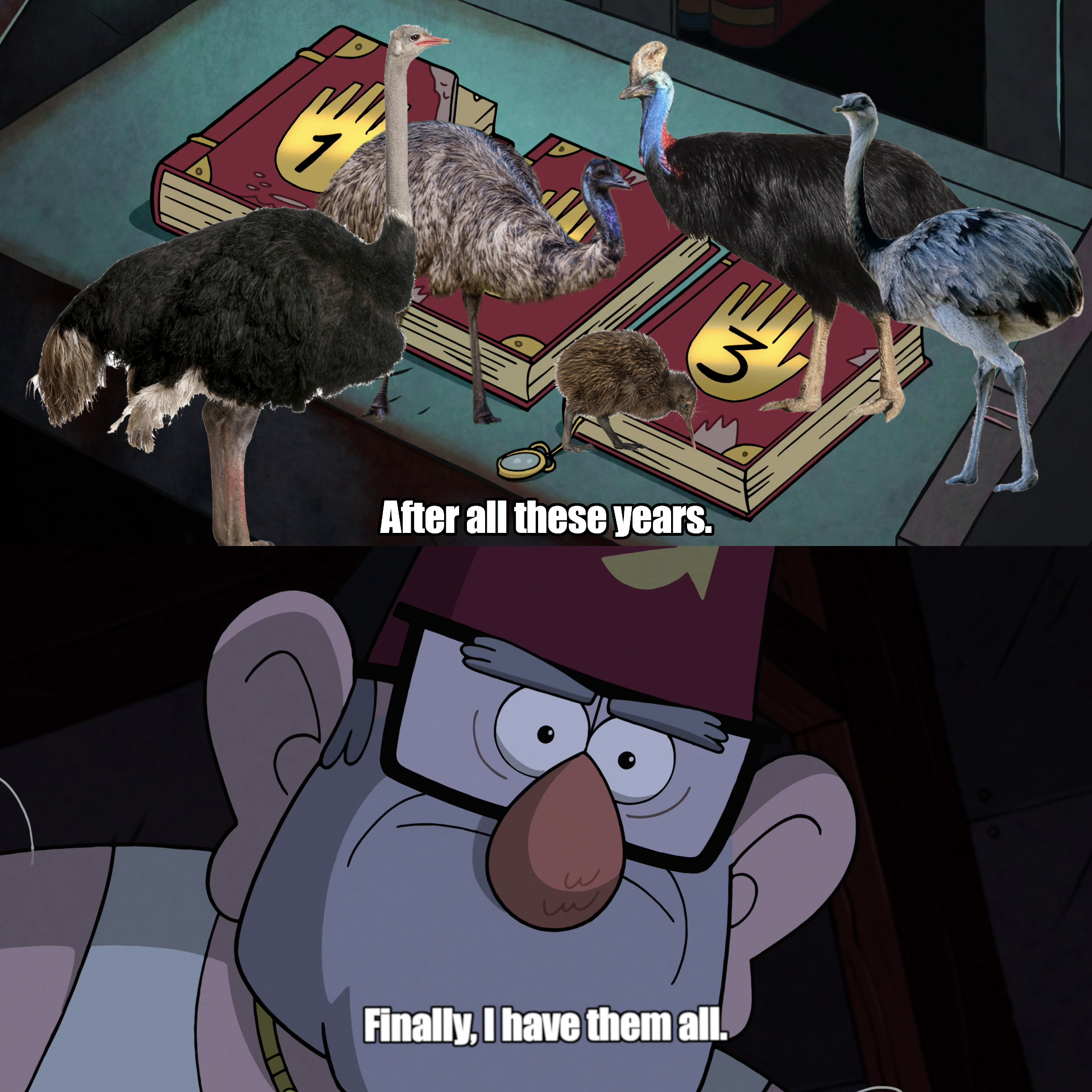 all%20the%20ratites.png