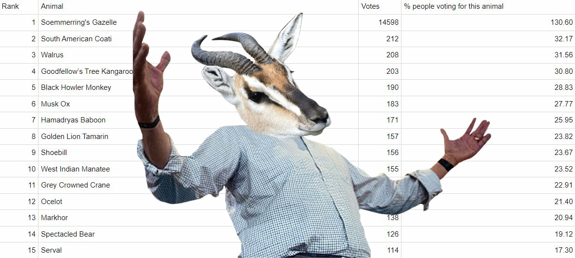 gazelle%20jeb.png