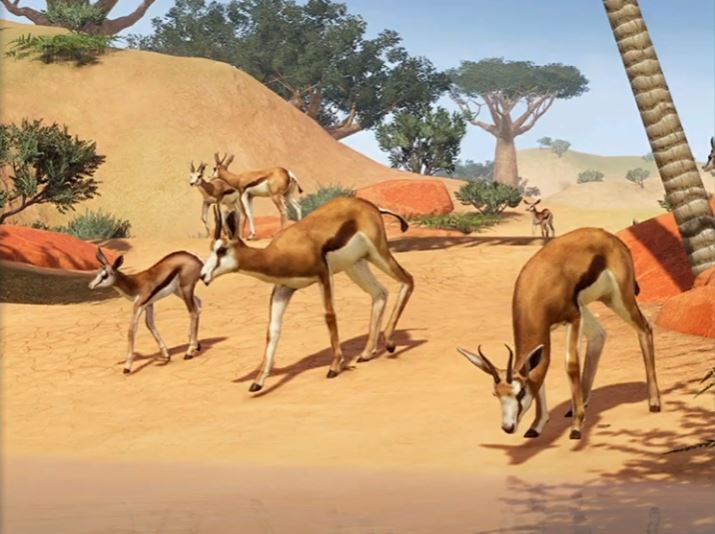 springbok%20red%20rocks.JPG