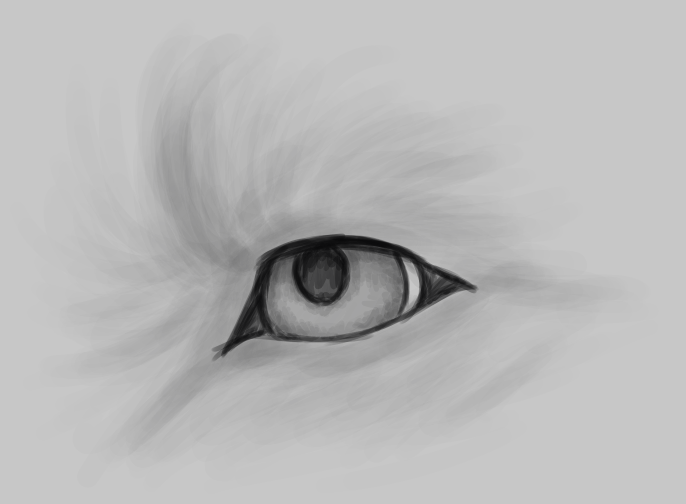 eye%20think%20so.png