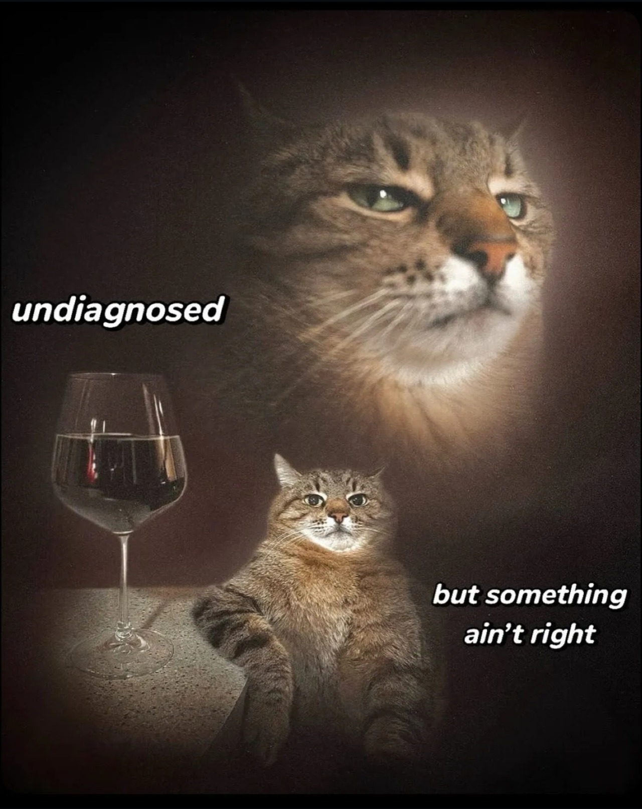 two images of the same cat staring at the viewer and leaning on a table next to a glass. text within the image reads; 'undiagnosed, but something ain't right.'