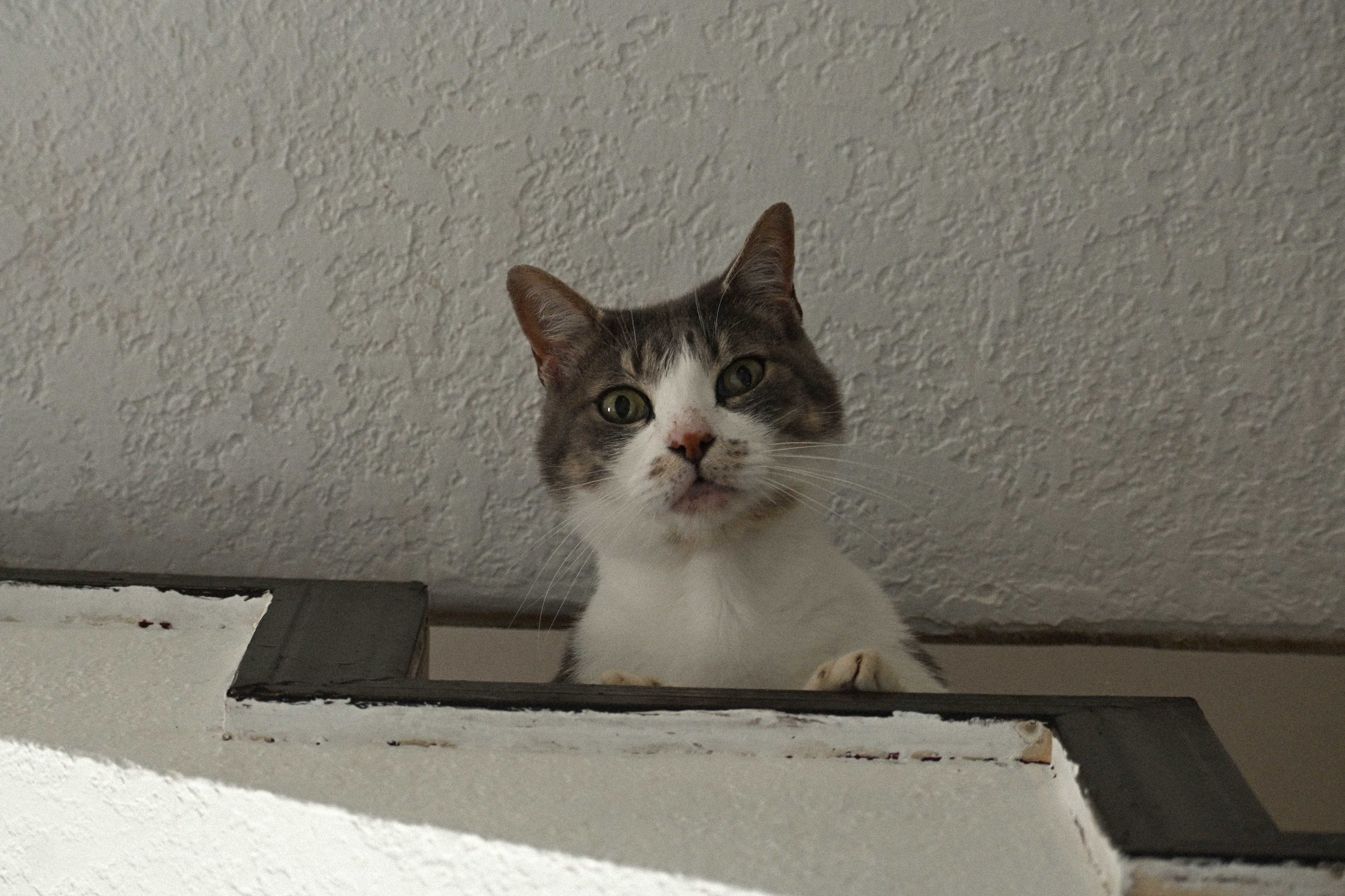 escalera