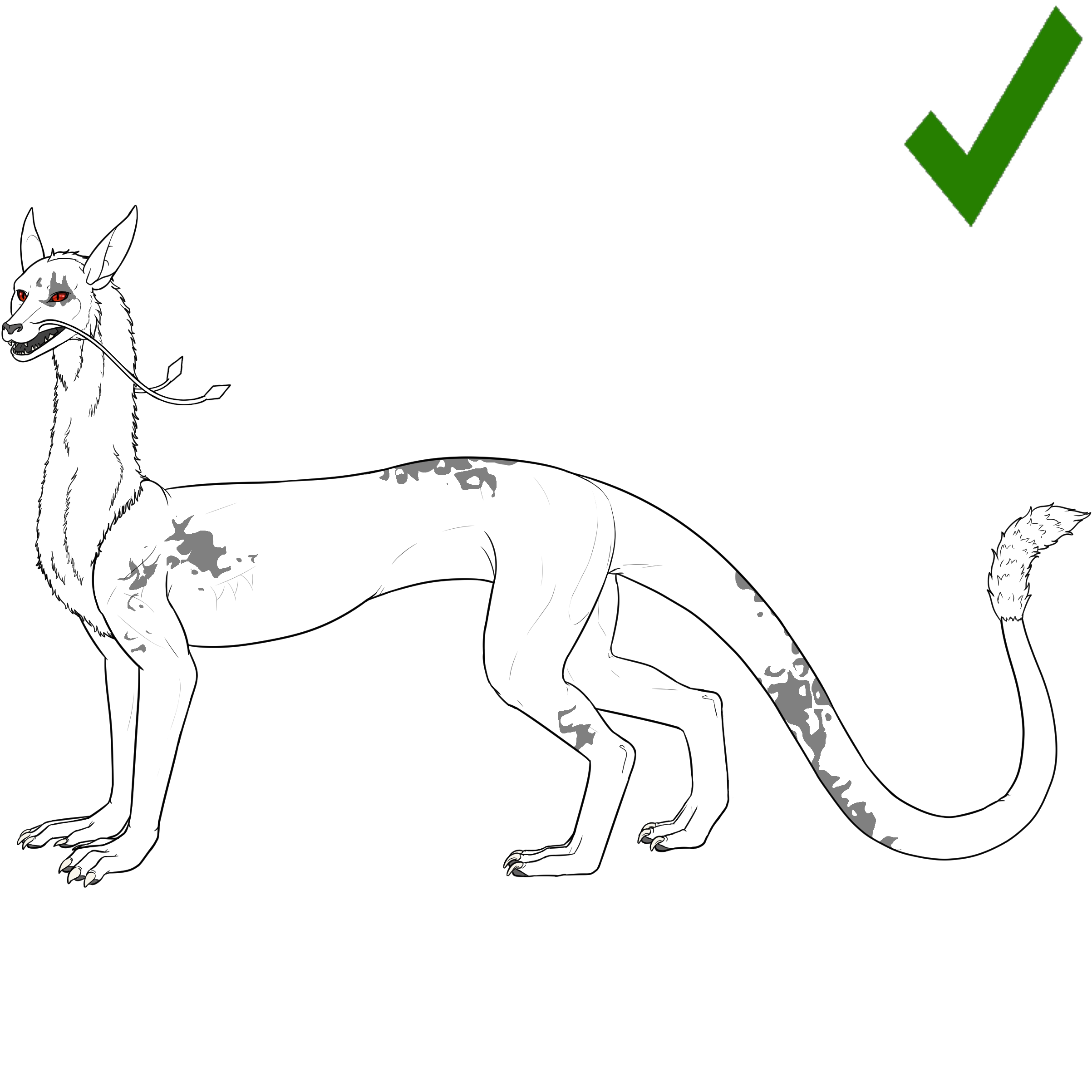 pinto%20g1.png