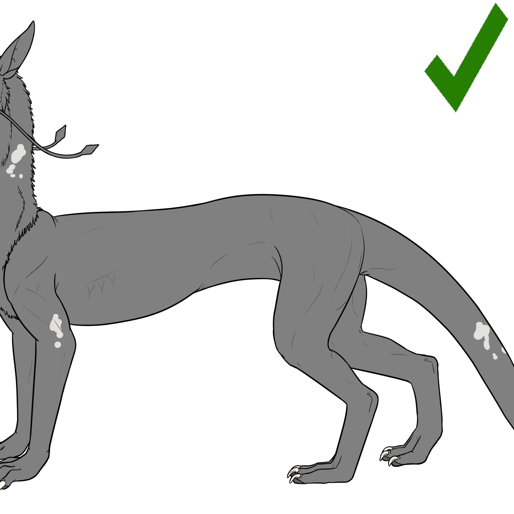 pinto%20g2.png