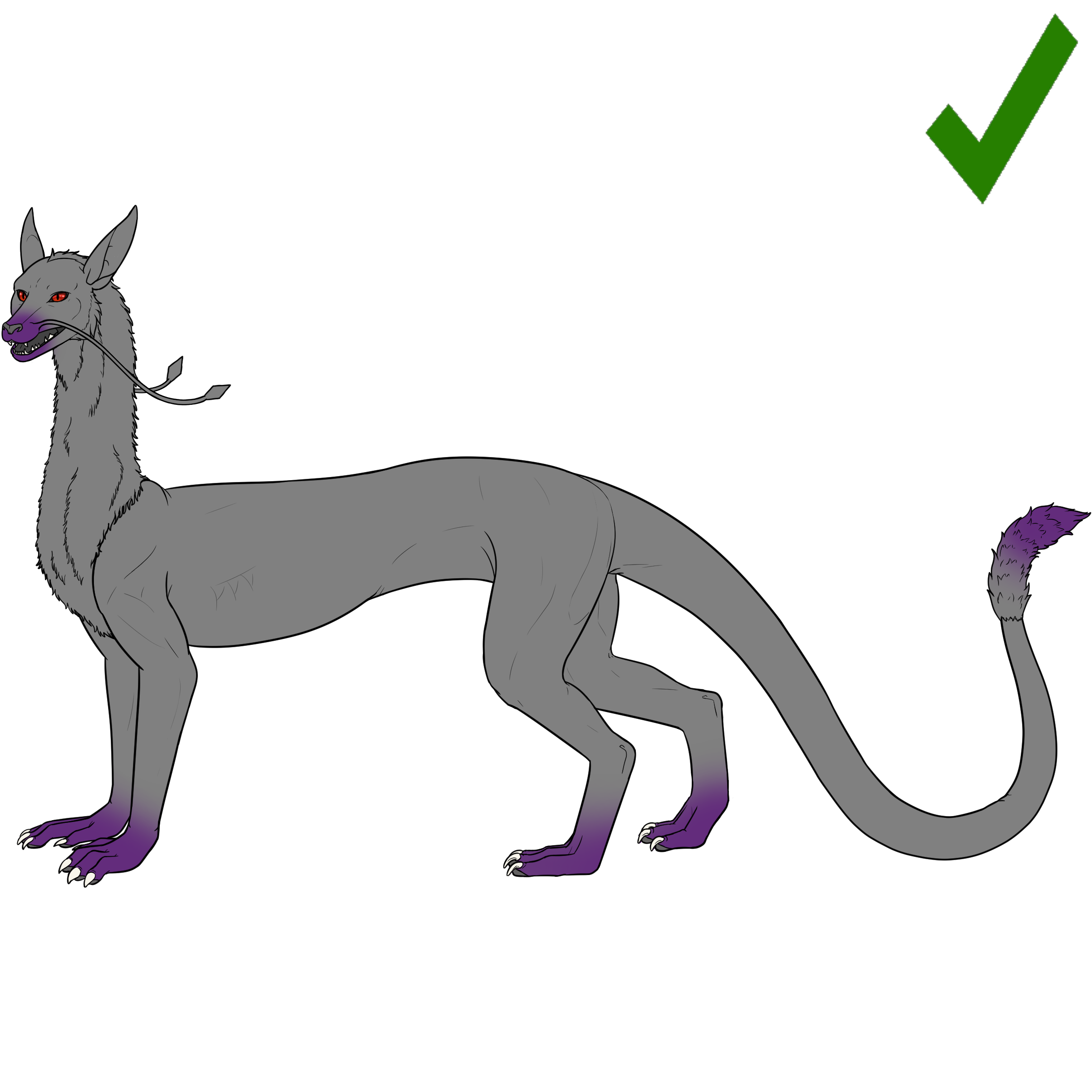 siamese%20g1.png
