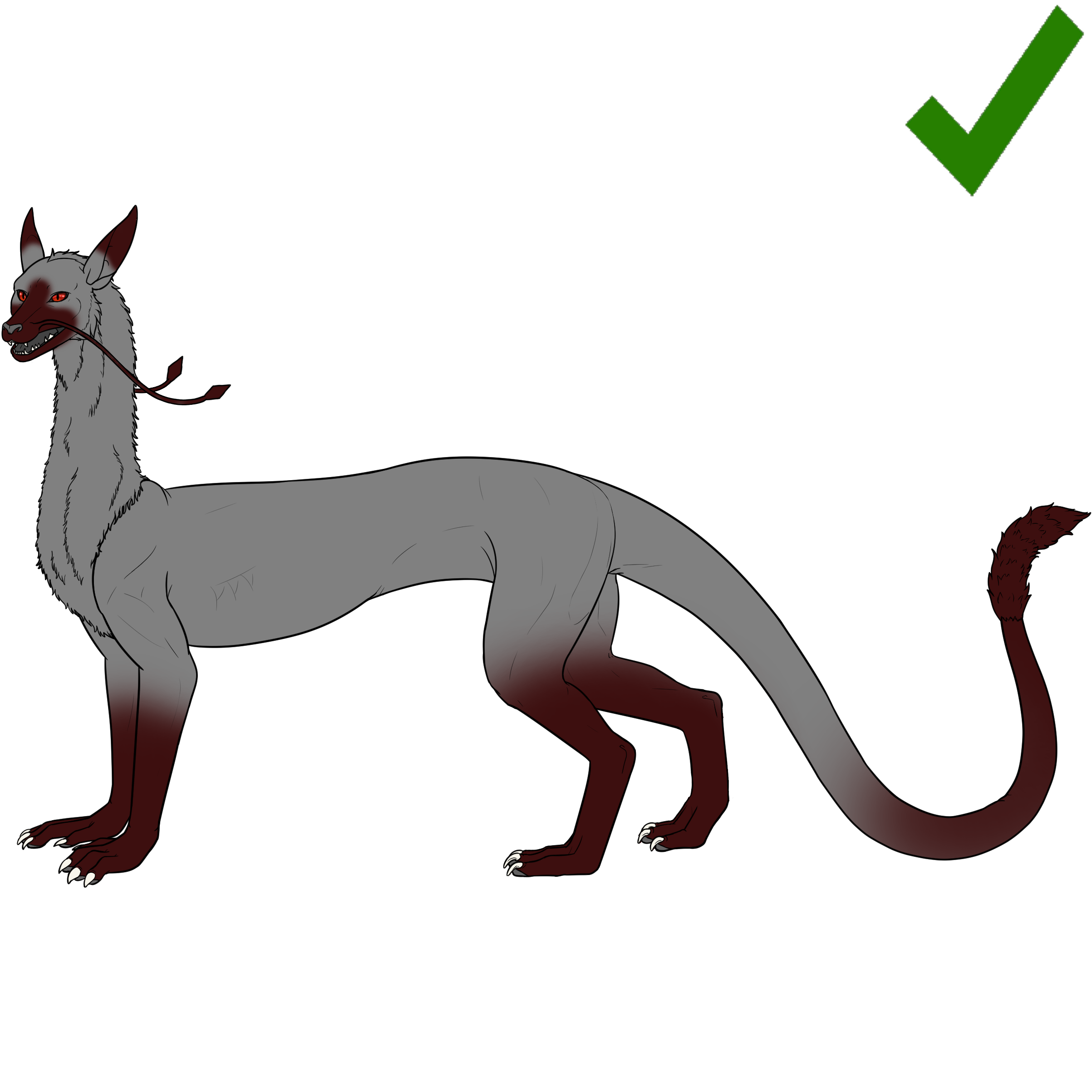 siamese%20g2.png