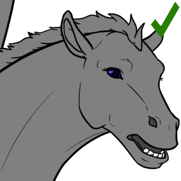 Pupil%20Tally%201.png