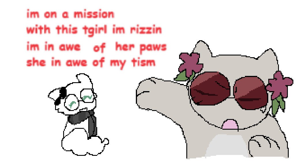 https://file.garden/ZS9t6oA0bEcTftJk/im%20on%20a%20mission.png