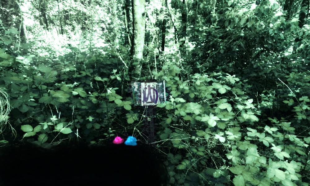 a forest scene with a faded sign posted. there is a dark hole in the ground and two shimmering rocks are placed along its rim