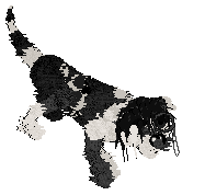 seducing his 40 year old wife