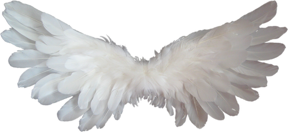 a pair of white angel wings