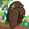 LZ5A6XW.png