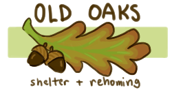 Old Oaks - shelter + rehoming