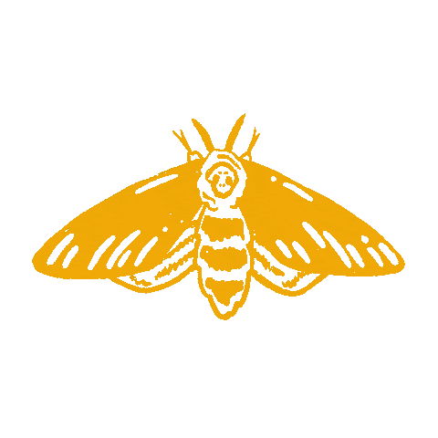 mothgif.gif