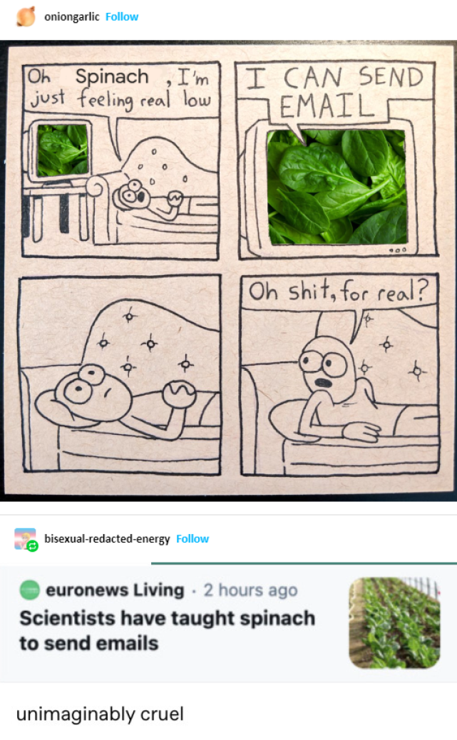 spinach-emails-01.png