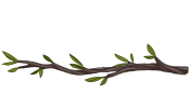 Divider-Branch4-flipped.png