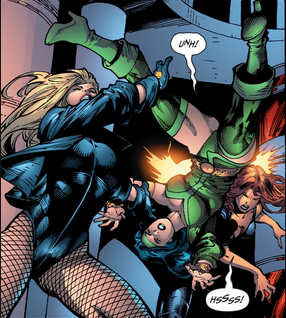 Black Canary bodily throwing Cheshire into the Cheetah