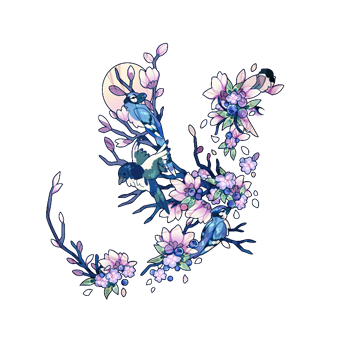 borb1.png