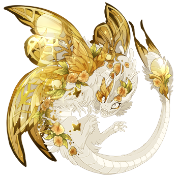 brightshine3.png
