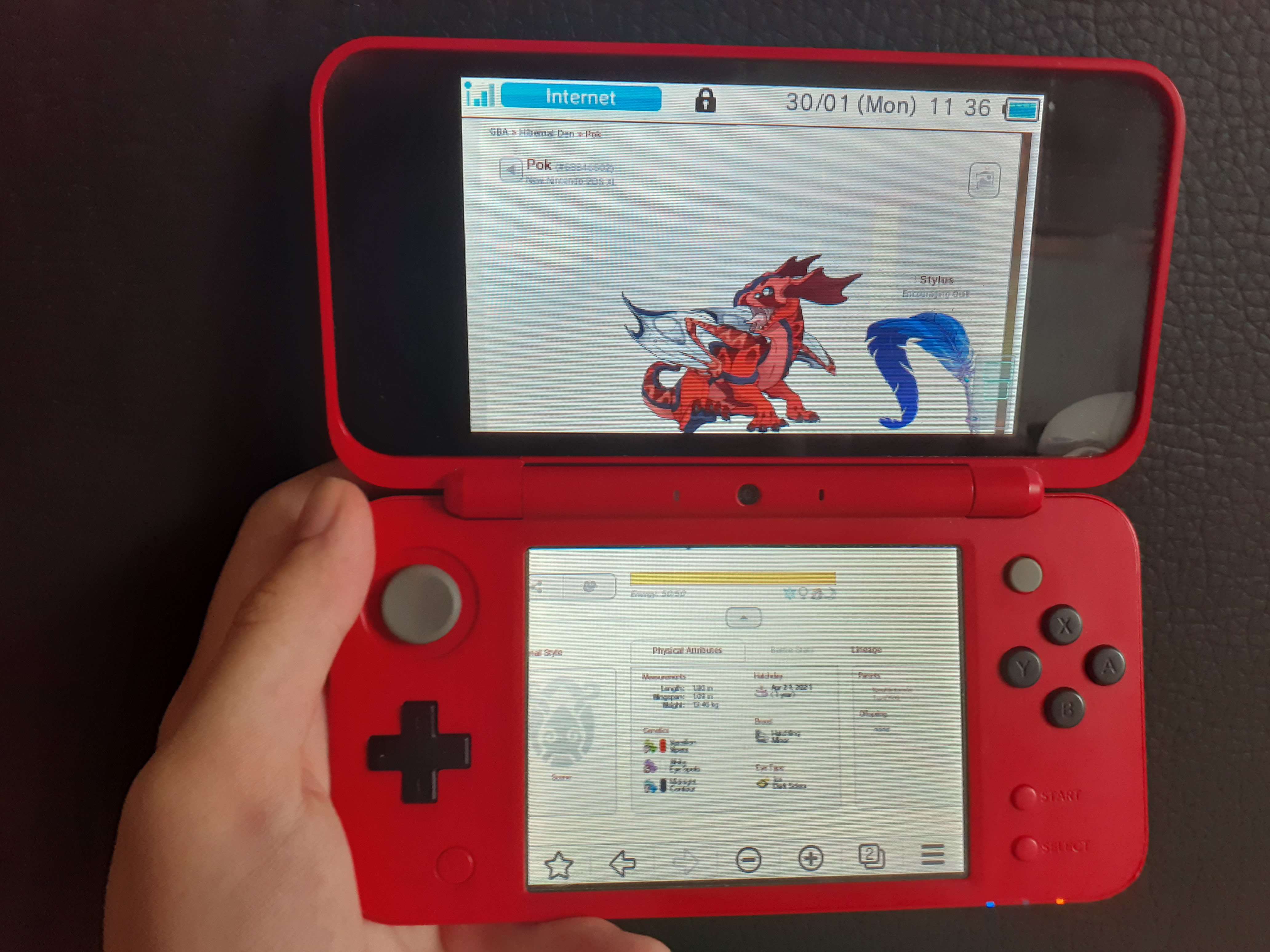 the same 2DS viewing a flight rising dragon page on its web browser