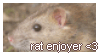 Rat enjoyer