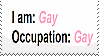 I am: gay. Occupation: gay