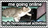Me going online to do homosexual activities