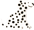a spotted dog sitting