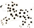 a spotted dog playing